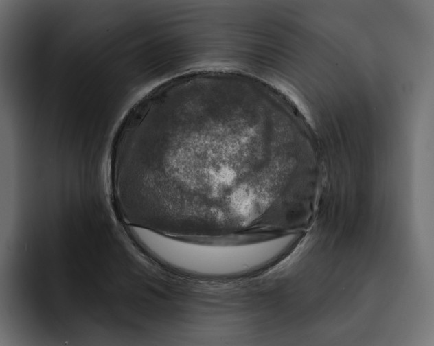 X0000092001030200710041004