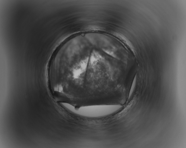 X0000092001031200710041004