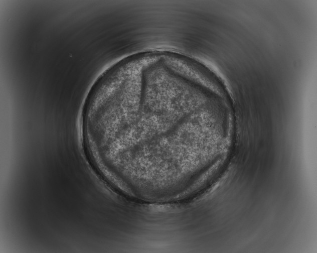 X0000092001032200710041004