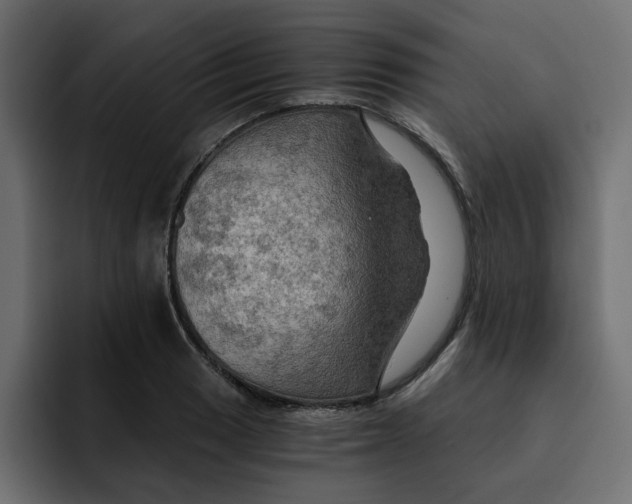 X0000092001033200710041004