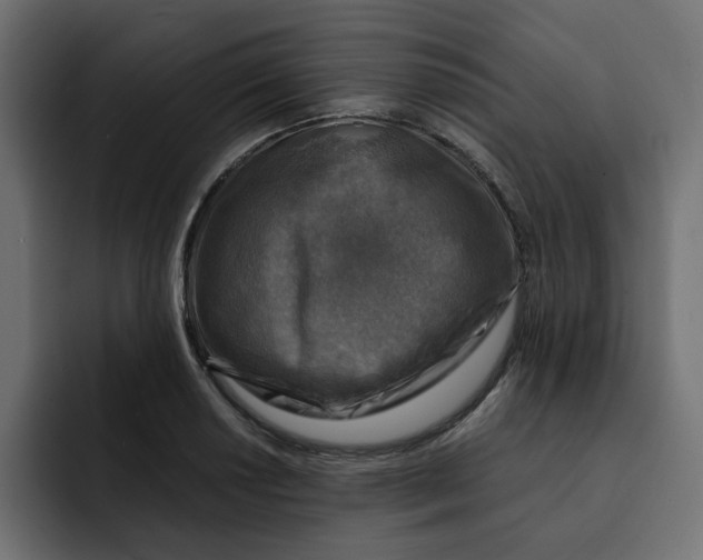 X0000092001034200710041004