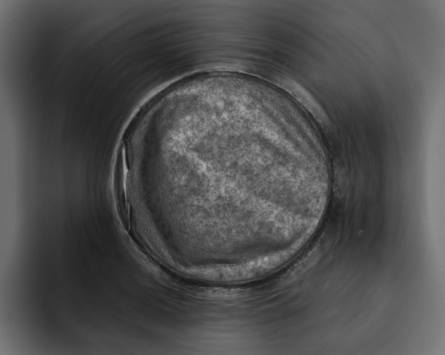 X0000092001036200710041004