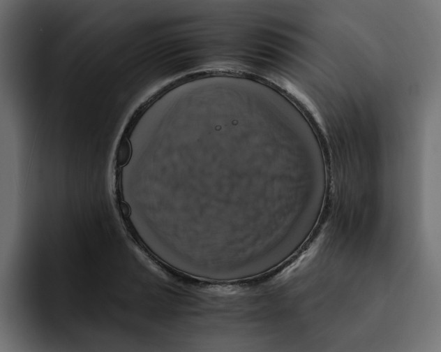 X0000092001037200710041004