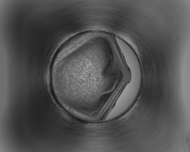 X0000092001040200710041004