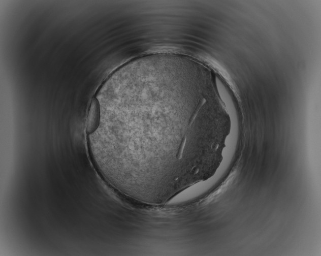 X0000092001041200710041004