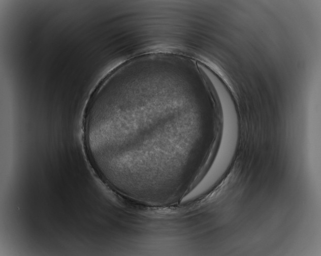 X0000092001042200710041004