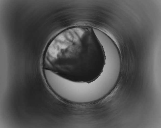 X0000092001045200710041004