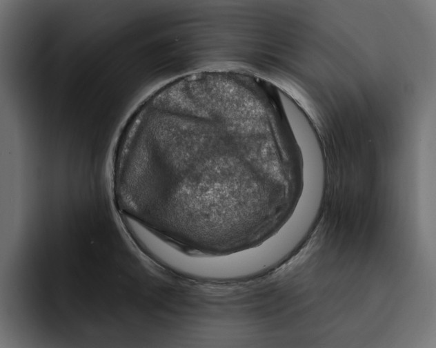 X0000092001046200710041004