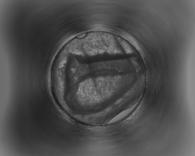 X0000092001048200710041004