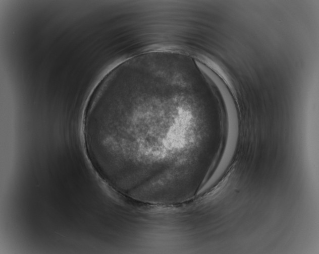 X0000092001050200710041004