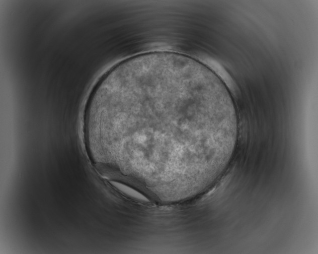 X0000092001051200710041004