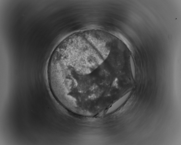 X0000092001055200710041004