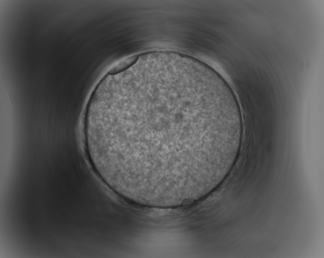 X0000092001056200710041004