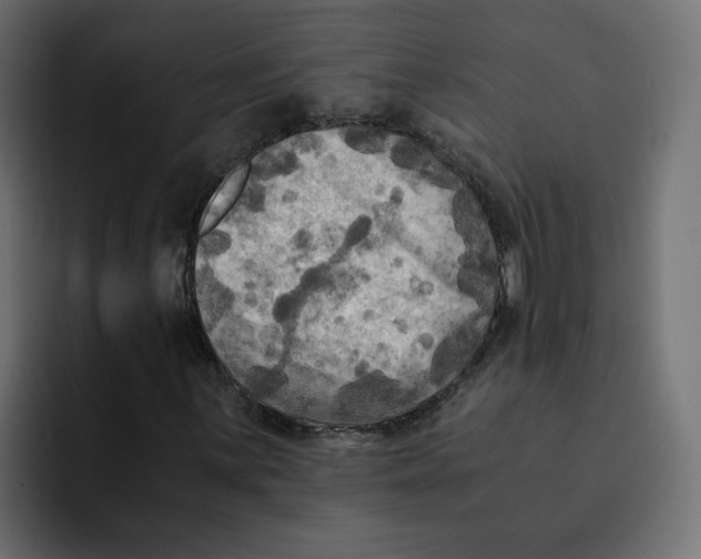 X0000092001059200710041003