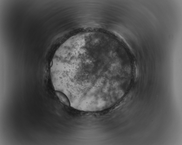 X0000092001063200710041003