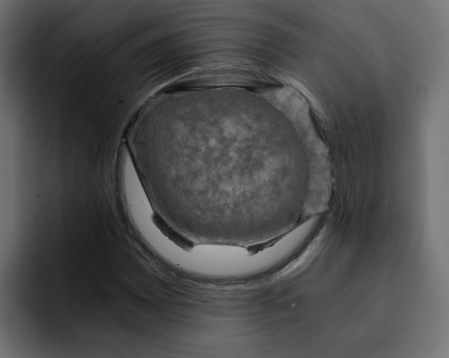 X0000092001065200710041003