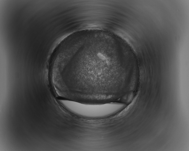 X0000092001066200710041003