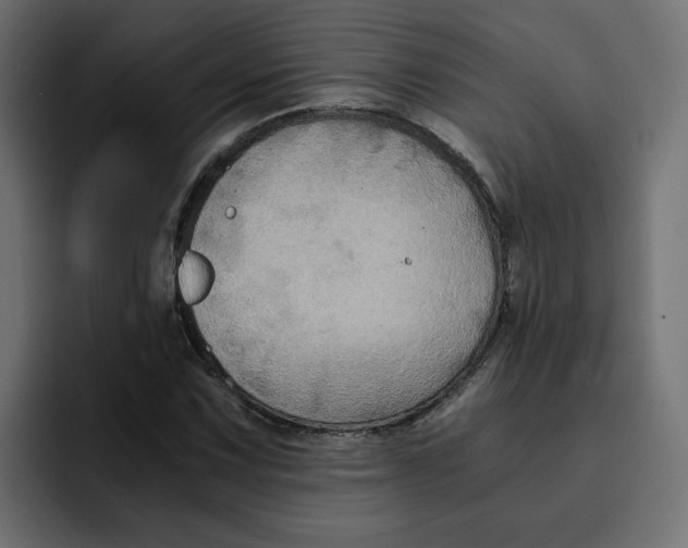 X0000092001067200710041003