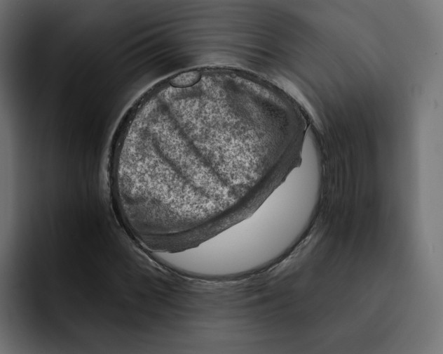 X0000092001068200710041003