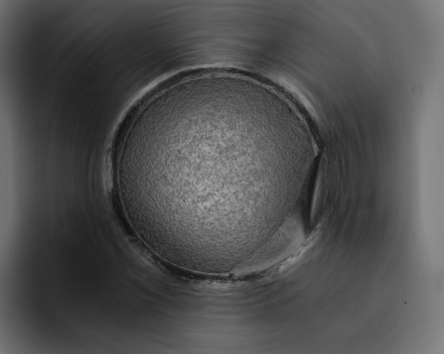 X0000092001069200710041003