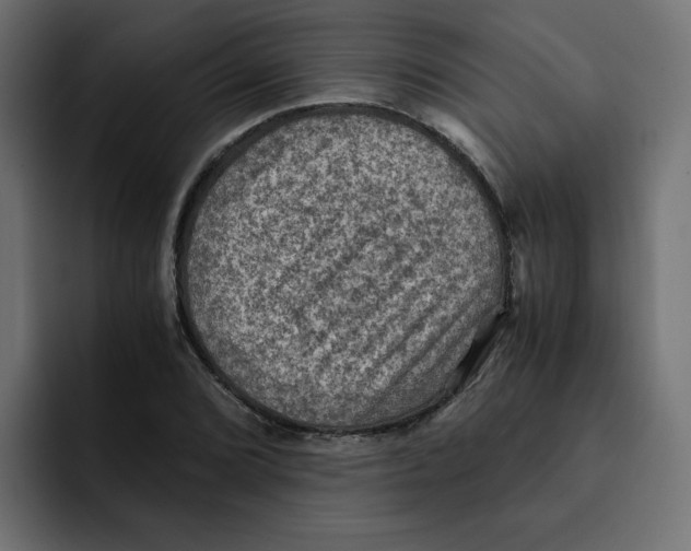 X0000092001072200710041003