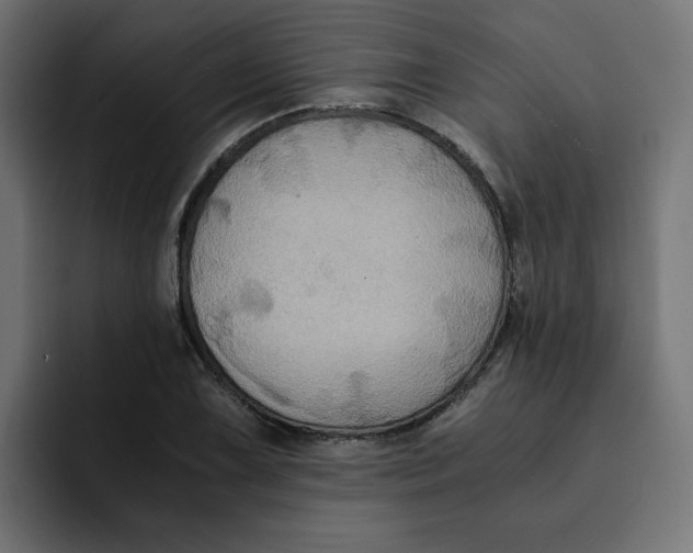 X0000092001075200710041003