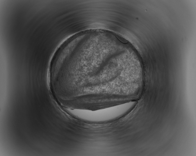 X0000092001076200710041003