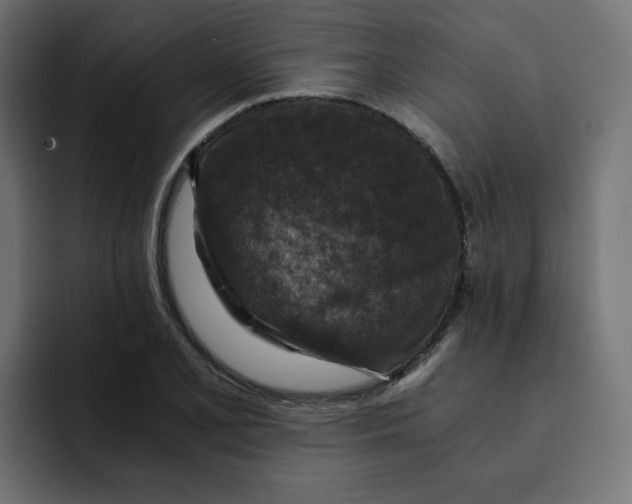 X0000092001077200710041003