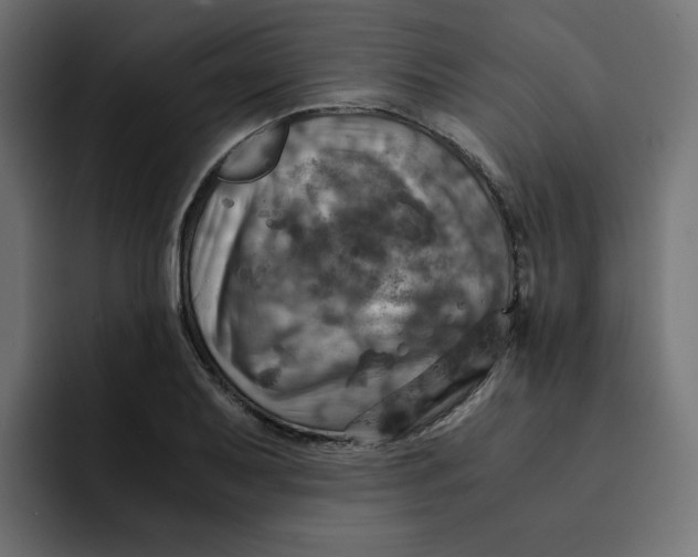 X0000092001079200710041003