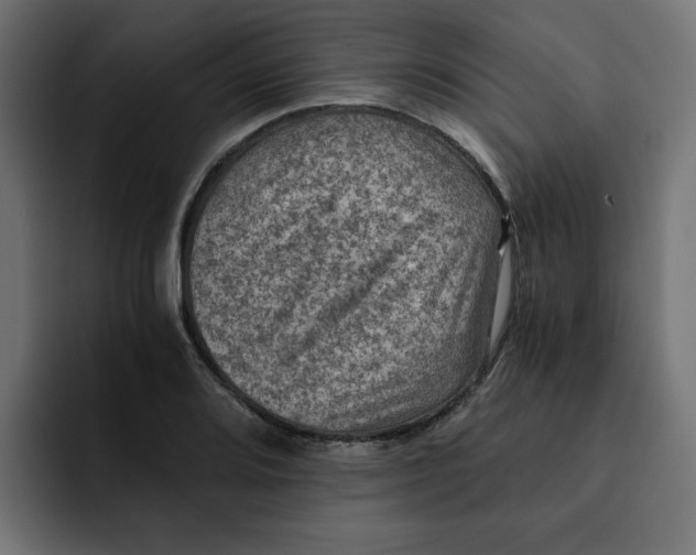 X0000092001080200710041003