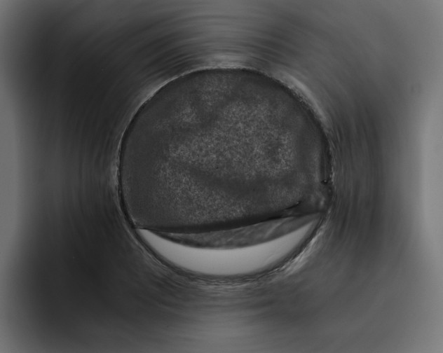 X0000092001081200710041003