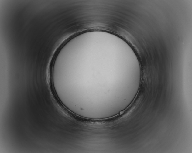 X0000092001082200710041003