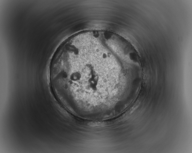 X0000092001083200710041003