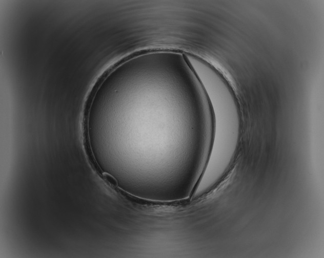 X0000092001085200710041003