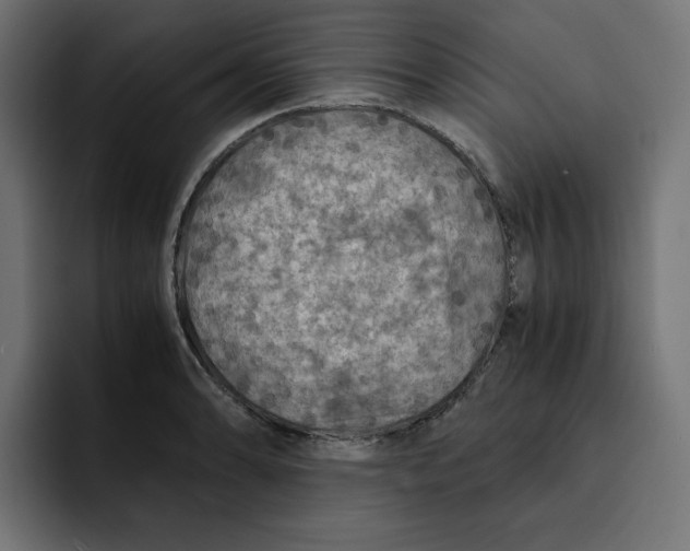 X0000092001086200710041003