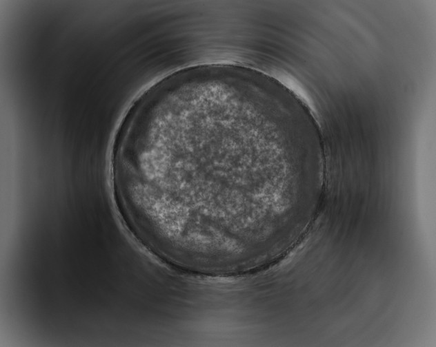 X0000092001088200710041003