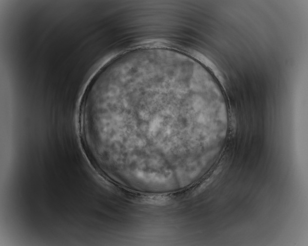 X0000092001090200710041003