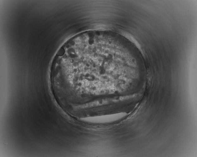 X0000092001091200710041003