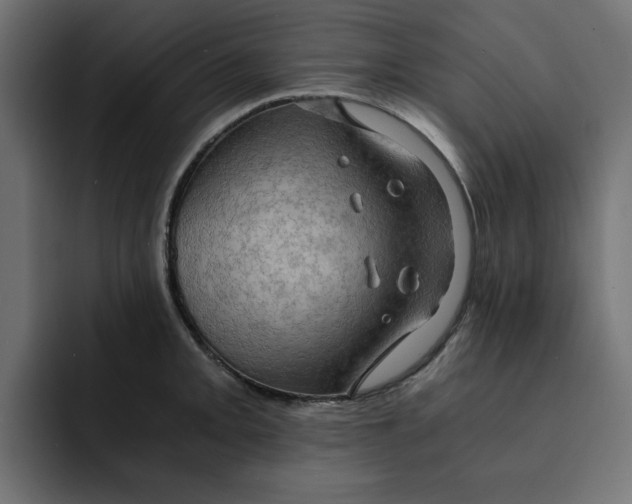 X0000092001093200710041003