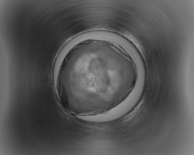 X0000092001097200710041003