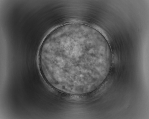 X0000092001098200710041003