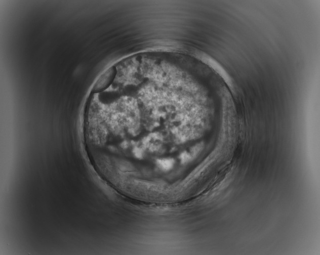 X0000092001099200710041003