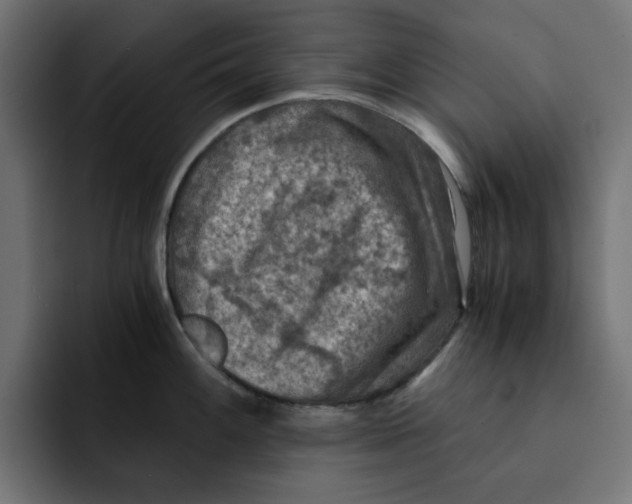 X0000092001100200710041003