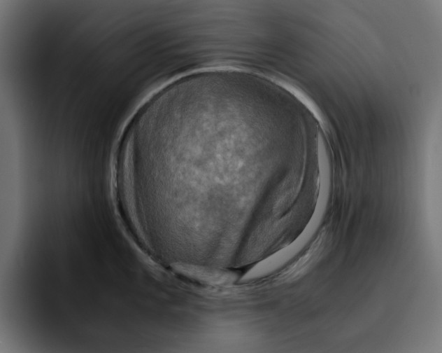 X0000092001101200710041003