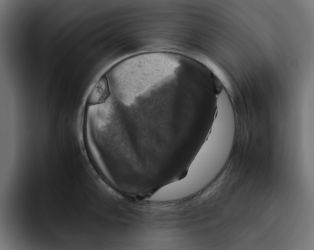 X0000092001102200710041003