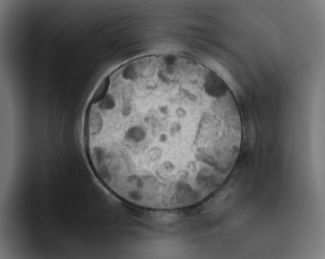 X0000092001103200710041003