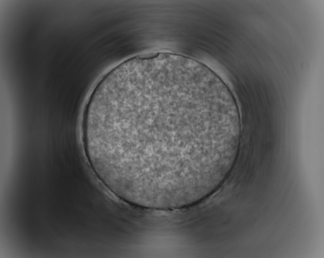 X0000092001104200710041003