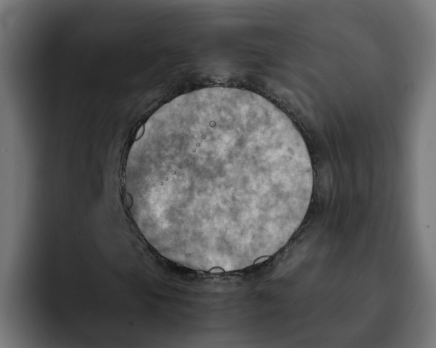 X0000092001105200710041002