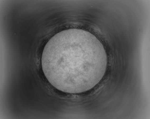 X0000092001109200710041002