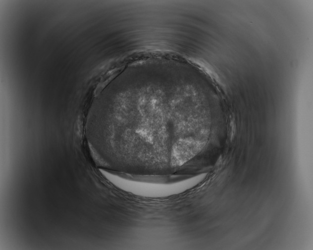 X0000092001110200710041002